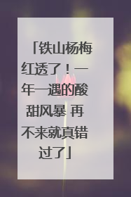 铁山杨梅红透了！一年一遇的酸甜风暴 再不来就真错过了