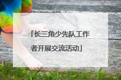 长三角少先队工作者开展交流活动