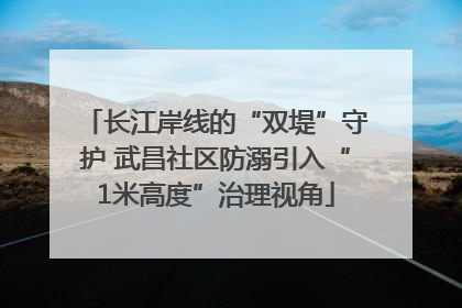 长江岸线的“双堤”守护 武昌社区防溺引入“1米高度”治理视角
