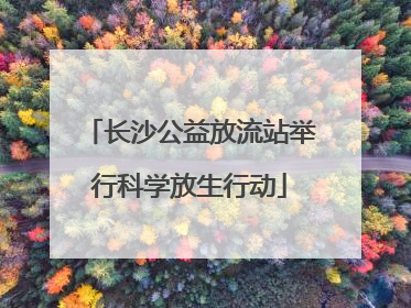 长沙公益放流站举行科学放生行动