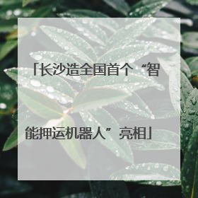 长沙造全国首个“智能押运机器人”亮相