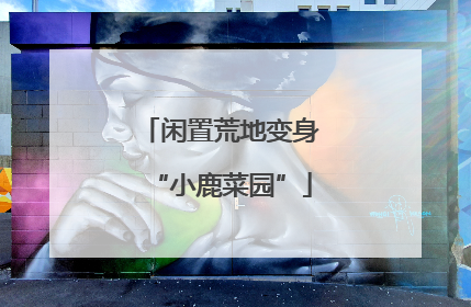 闲置荒地变身“小鹿菜园”