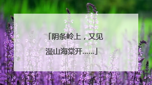 阴条岭上，又见漫山海棠开……