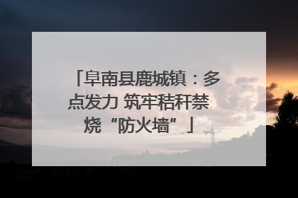 阜南县鹿城镇：多点发力 筑牢秸秆禁烧“防火墙”