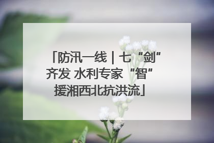 防汛一线｜七“剑”齐发 水利专家“智”援湘西北抗洪流