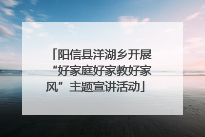 阳信县洋湖乡开展“好家庭好家教好家风”主题宣讲活动