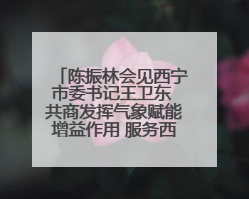 陈振林会见西宁市委书记王卫东 共商发挥气象赋能增益作用 服务西宁经济社会高质量发展