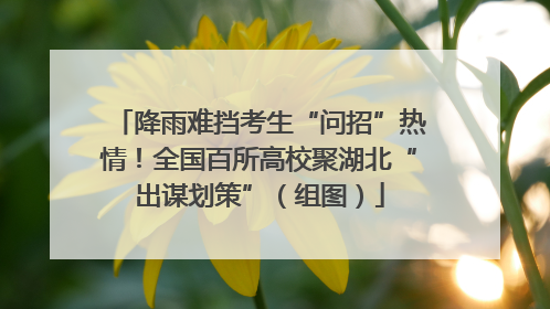 降雨难挡考生“问招”热情！全国百所高校聚湖北“出谋划策”（组图）