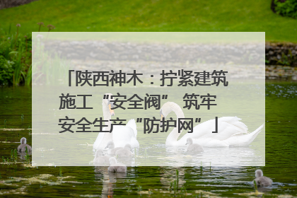 陕西神木：拧紧建筑施工“安全阀” 筑牢安全生产“防护网”