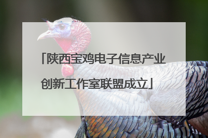 陕西宝鸡电子信息产业创新工作室联盟成立