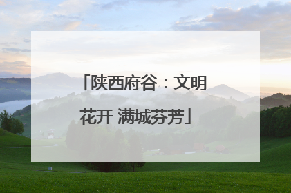 陕西府谷：文明花开 满城芬芳
