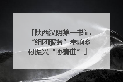 陕西汉阴第一书记“组团服务”奏响乡村振兴“协奏曲”