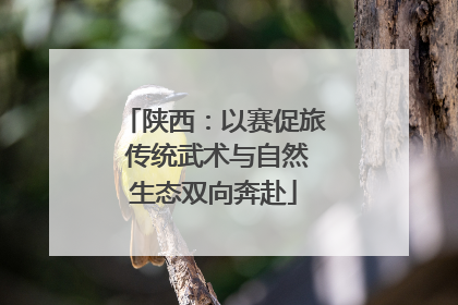 陕西：以赛促旅 传统武术与自然生态双向奔赴