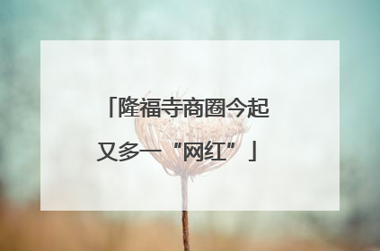 隆福寺商圈今起又多一“网红”