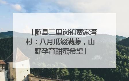 随县三里岗镇贾家湾村：八月瓜缀满藤，山野孕育甜蜜希望