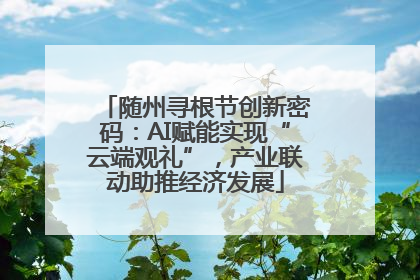 随州寻根节创新密码：AI赋能实现“云端观礼”，产业联动助推经济发展