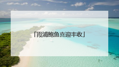 霞浦鲍鱼喜迎丰收