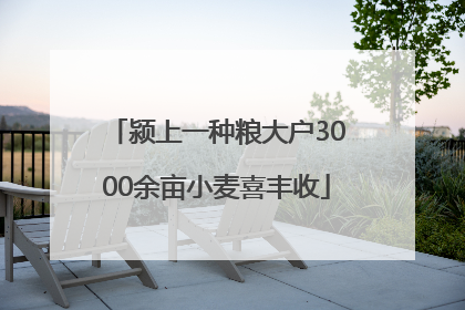 颍上一种粮大户3000余亩小麦喜丰收