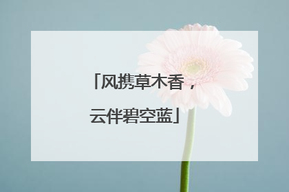 风携草木香，云伴碧空蓝