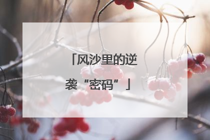 风沙里的逆袭“密码”