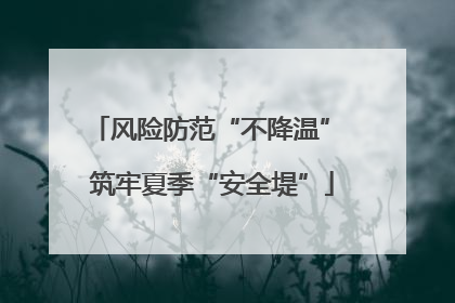 风险防范“不降温” 筑牢夏季“安全堤”