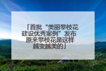首批“美丽攀枝花建设优秀案例”发布 原来攀枝花是这样越变越美的