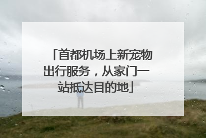 首都机场上新宠物出行服务，从家门一站抵达目的地