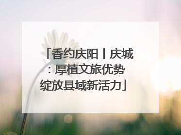 香约庆阳丨庆城：厚植文旅优势 绽放县域新活力