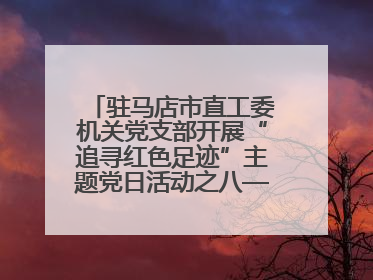 驻马店市直工委机关党支部开展“追寻红色足迹”主题党日活动之八——鏖战独树镇