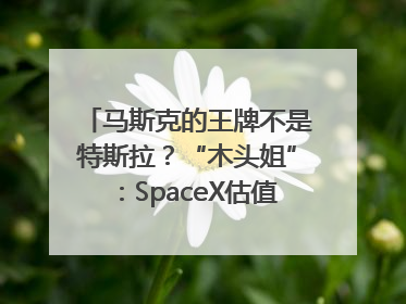 马斯克的王牌不是特斯拉？“木头姐”：SpaceX估值五年后可达2.5万亿美元！