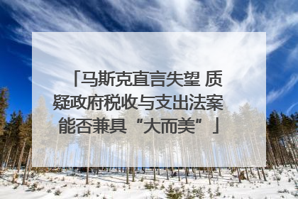 马斯克直言失望 质疑政府税收与支出法案能否兼具“大而美”
