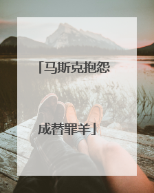 马斯克抱怨成替罪羊
