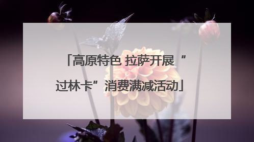 高原特色 拉萨开展“过林卡”消费满减活动
