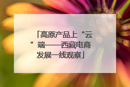 高原产品上“云”端——西藏电商发展一线观察