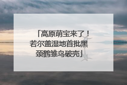 高原萌宝来了！若尔盖湿地首批黑颈鹤雏鸟破壳