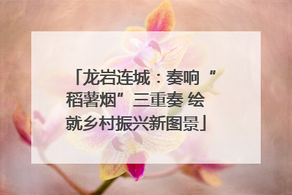 龙岩连城：奏响“稻薯烟”三重奏 绘就乡村振兴新图景