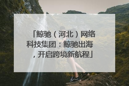 鲸驰（河北）网络科技集团：鲸驰出海，开启跨境新航程