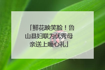 鲜花映笑脸！鲁山县妇联为优秀母亲送上暖心礼