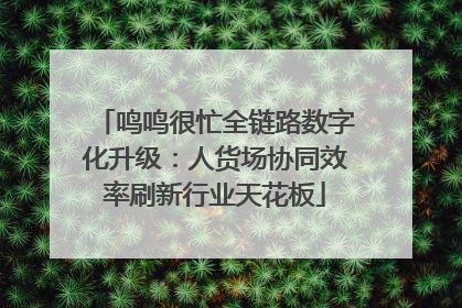 鸣鸣很忙全链路数字化升级：人货场协同效率刷新行业天花板