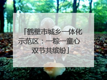 鹤壁市城乡一体化示范区：一粽一童心 双节共缤纷