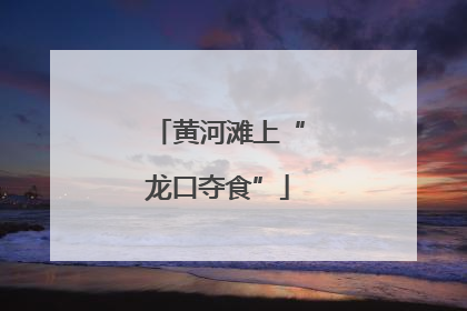 黄河滩上“龙口夺食”