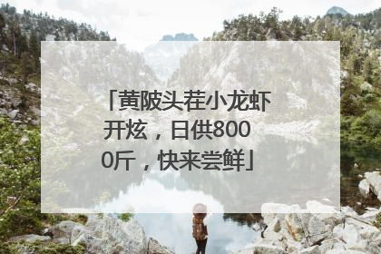 黄陂头茬小龙虾开炫，日供8000斤，快来尝鲜