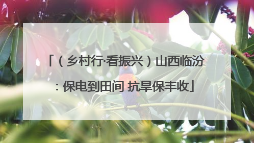 （乡村行·看振兴）山西临汾：保电到田间 抗旱保丰收