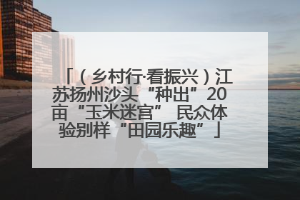 （乡村行·看振兴）江苏扬州沙头“种出”20亩“玉米迷宫” 民众体验别样“田园乐趣”