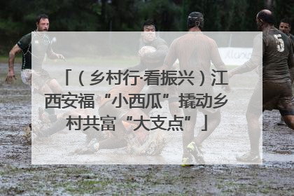 （乡村行·看振兴）江西安福“小西瓜”撬动乡村共富“大支点”