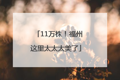 11万株！福州这里太太太美了