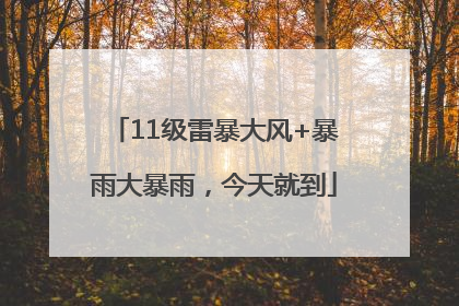 11级雷暴大风+暴雨大暴雨，今天就到