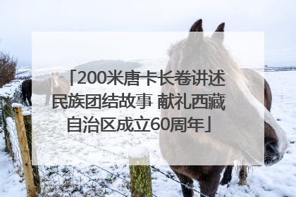 200米唐卡长卷讲述民族团结故事 献礼西藏自治区成立60周年