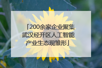 200余家企业聚集 武汉经开区人工智能产业生态现雏形