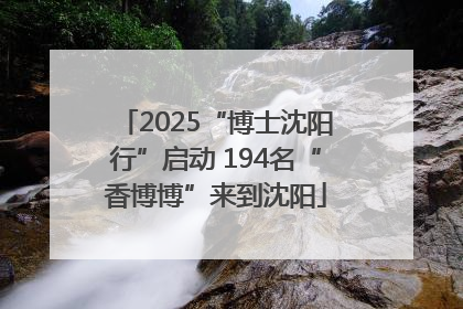 2025“博士沈阳行”启动 194名“香博博”来到沈阳
